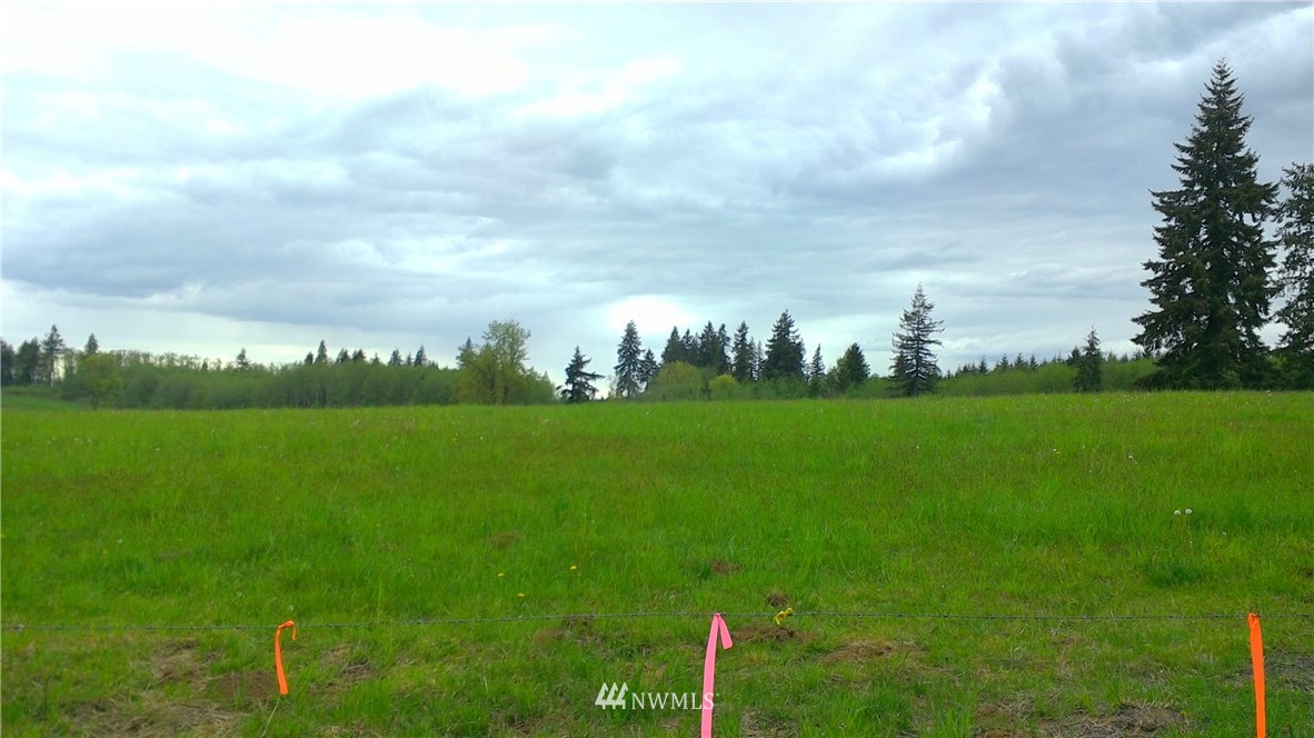 1 Burnt Ridge Road Onalaska, WA 98570 - Photo 4 of 4 Gallery Image 4