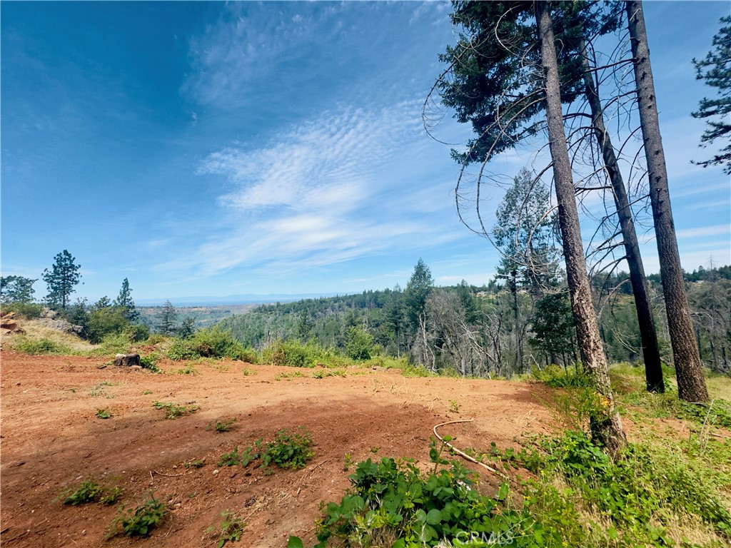 1400 Bader Mine Road Paradise, CA 95969 - Photo 15 of 16
