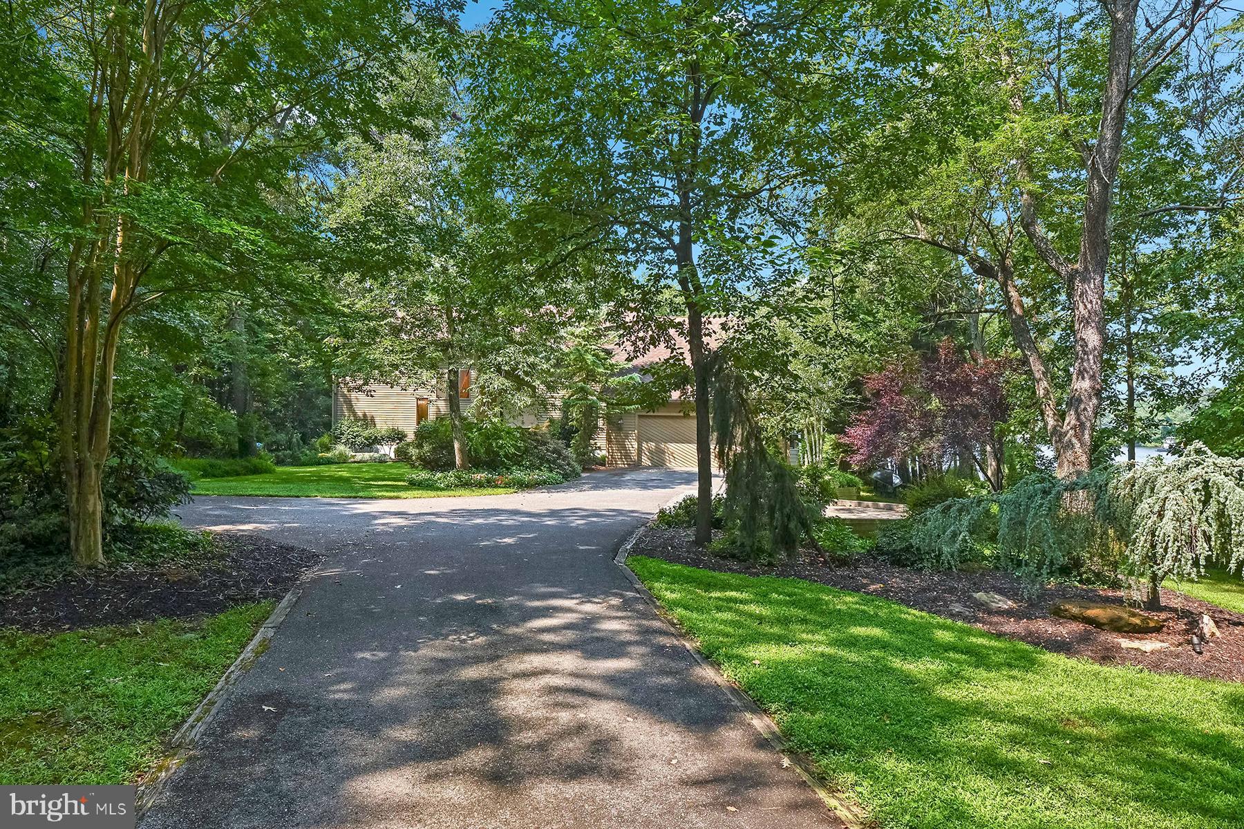 344 Hunner Road Pasadena, MD 21122 - Photo 44 of 55 Specimen plantings as you enter the property