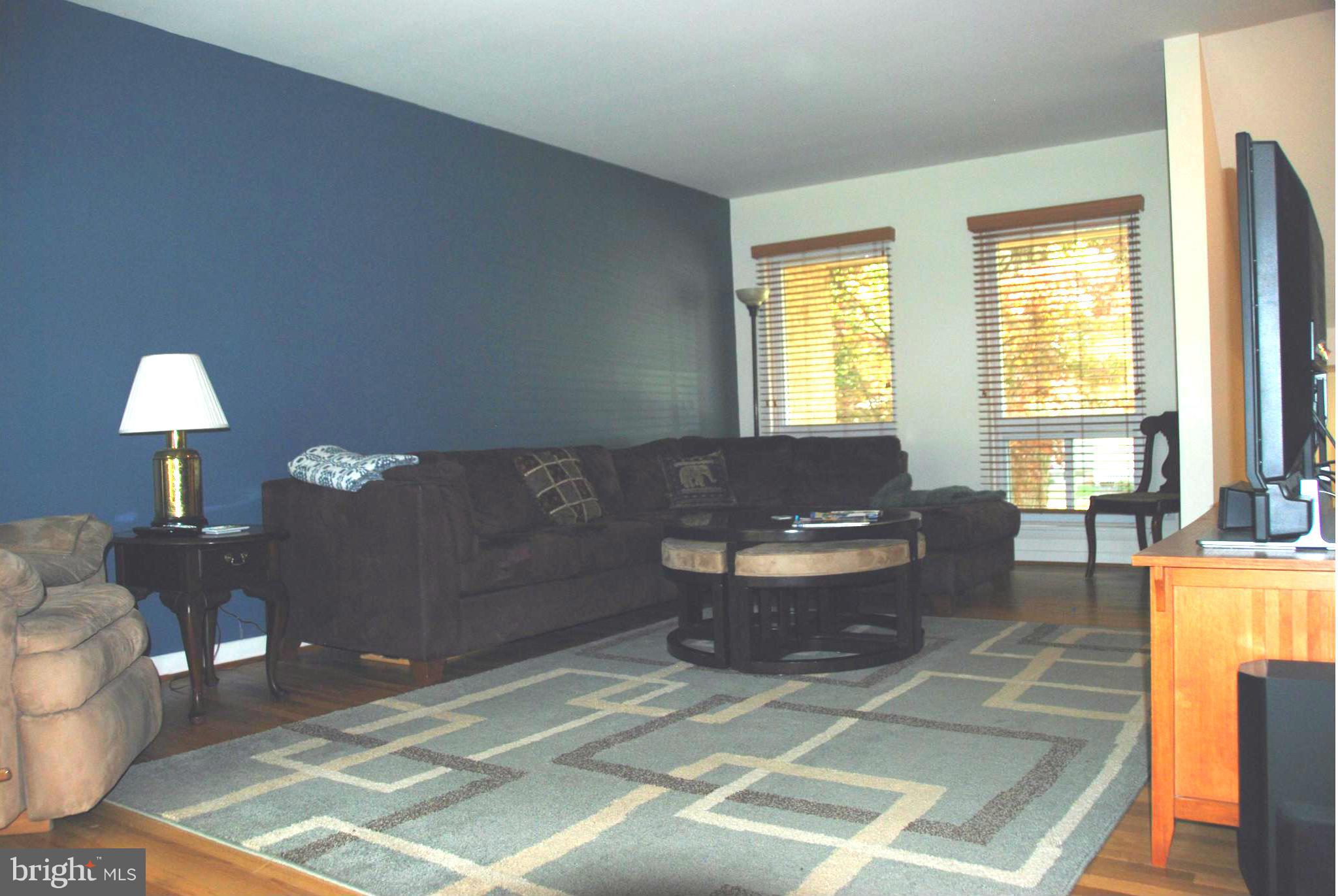 11019 Saffold Way Reston, VA 20190 - Photo 14 of 22 a living room with a couch and a potted plant