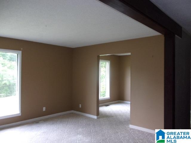2167 Broughton Spring Gadsden, AL 35907 - Photo 10 of 37 Gallery Image 10