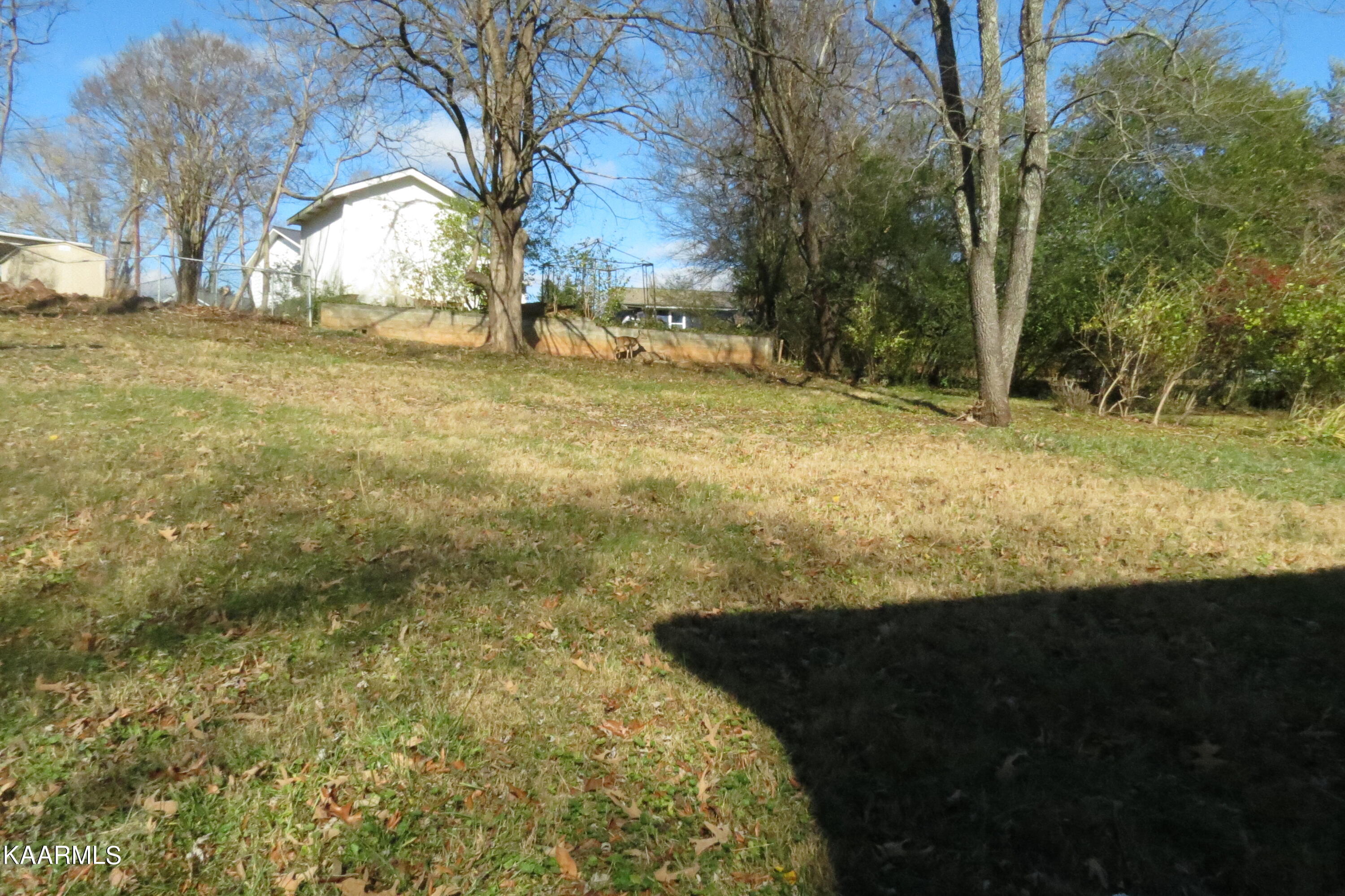 302 Vermont Avenue Oak Ridge, TN 37830 - Photo 20 of 20 Back Yard