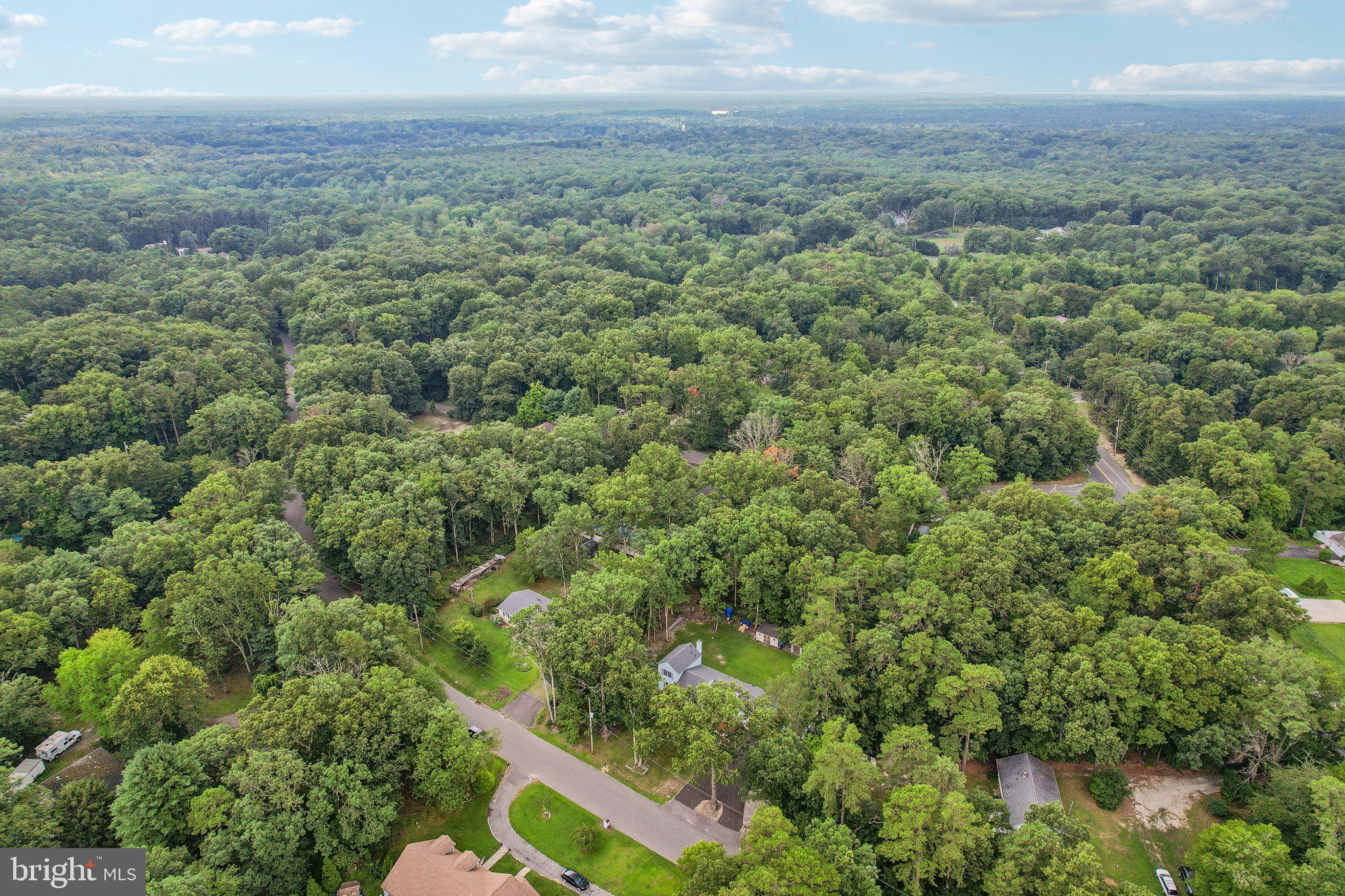 441 East Bird Village Road Jackson, NJ 08527 - Photo 20 of 28 Gallery Image 20