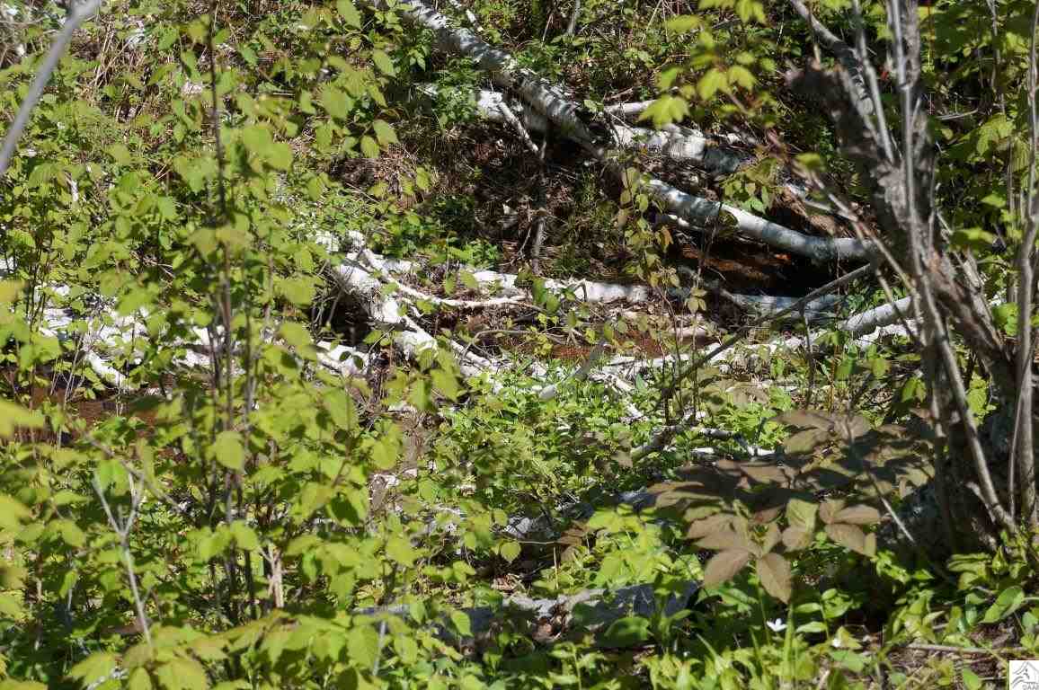 3375 Highway 61 Two Harbors, MN 55616 - Photo 12 of 17 Gallery Image 12