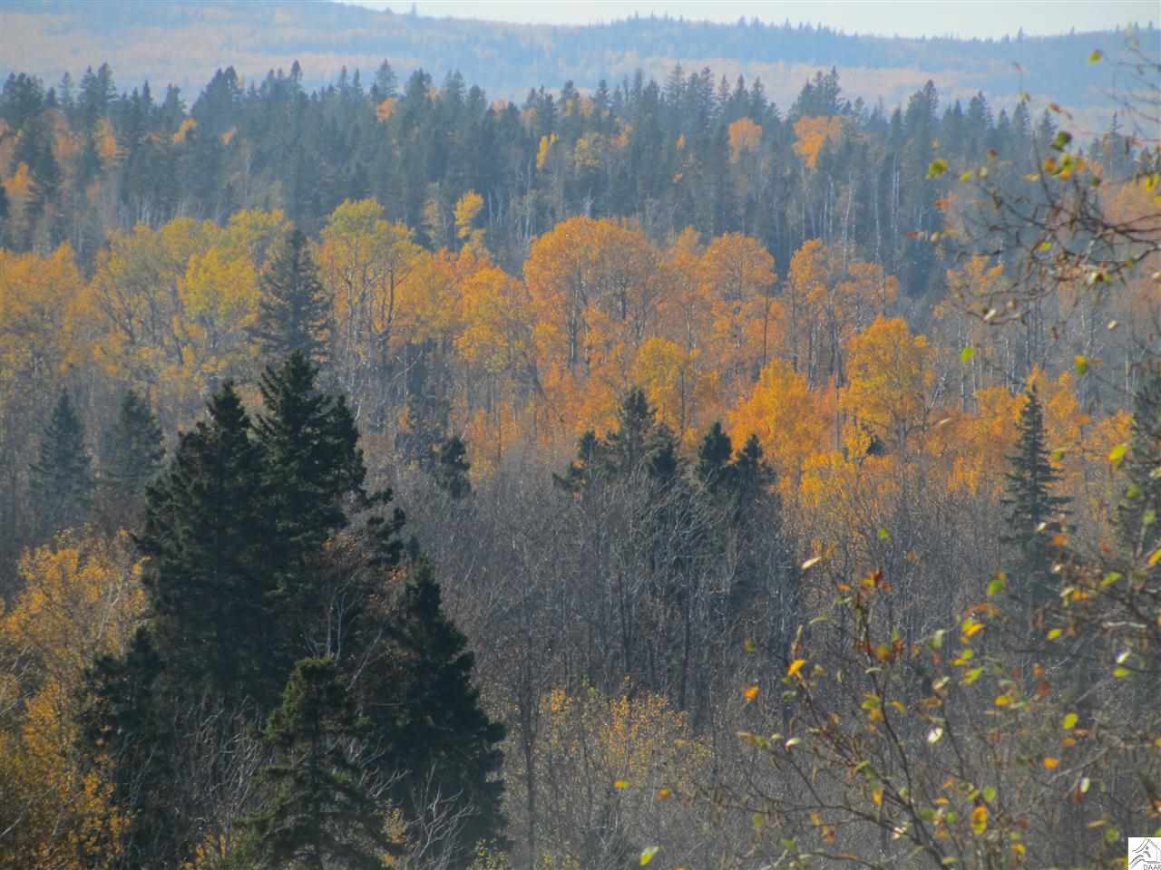 3375 Highway 61 Two Harbors, MN 55616 - Photo 16 of 17 Gallery Image 16