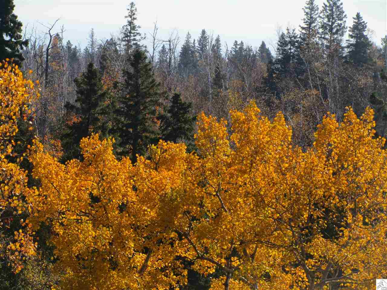 3375 Highway 61 Two Harbors, MN 55616 - Photo 4 of 17 Gallery Image 4