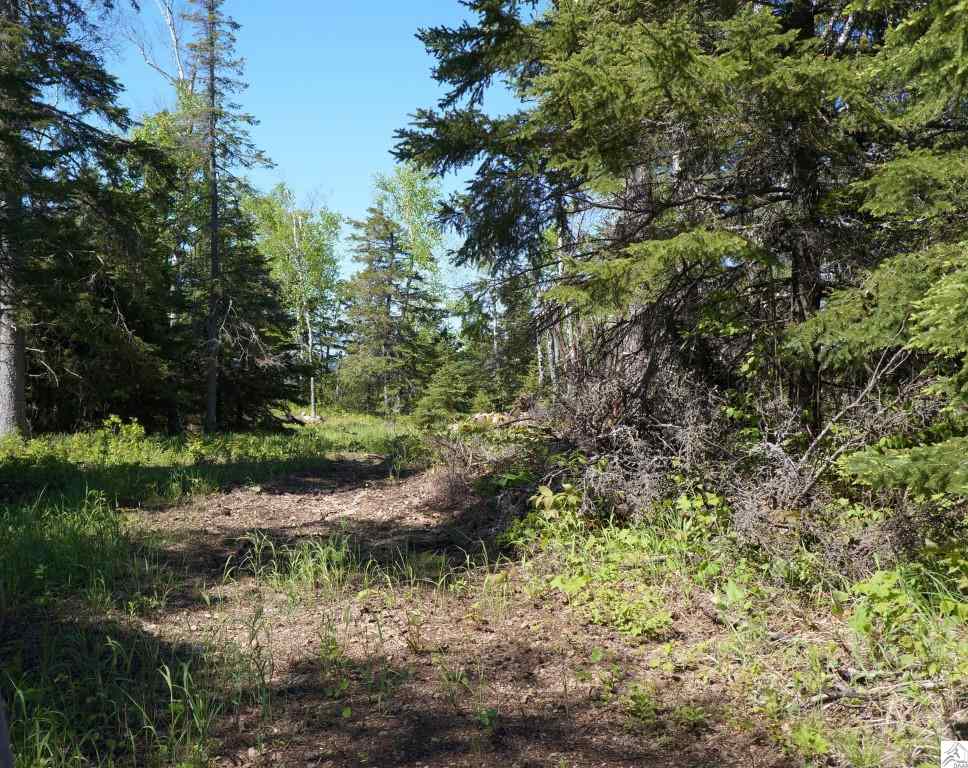 3375 Highway 61 Two Harbors, MN 55616 - Photo 5 of 17 Gallery Image 5