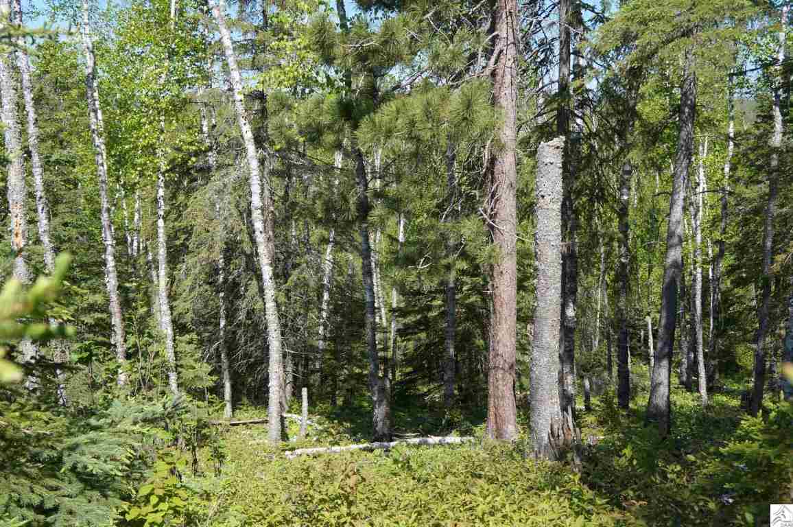 3375 Highway 61 Two Harbors, MN 55616 - Photo 6 of 17 Gallery Image 6