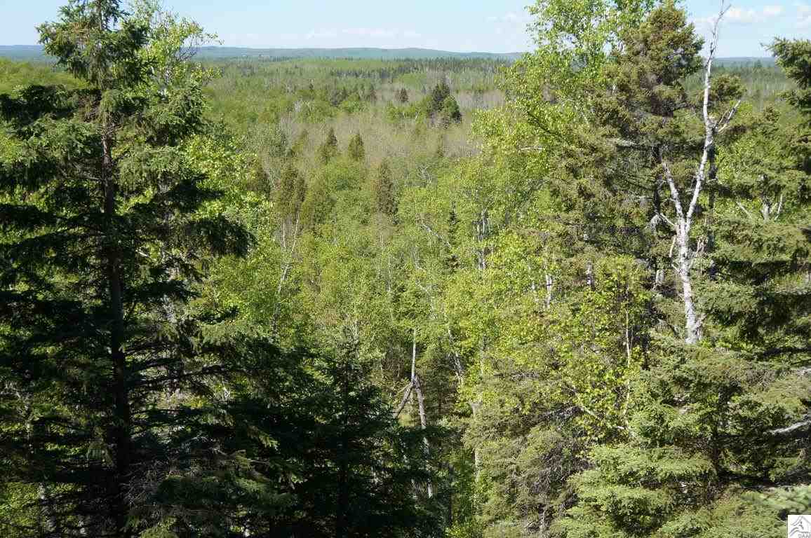 3375 Highway 61 Two Harbors, MN 55616 - Photo 7 of 17 Gallery Image 7