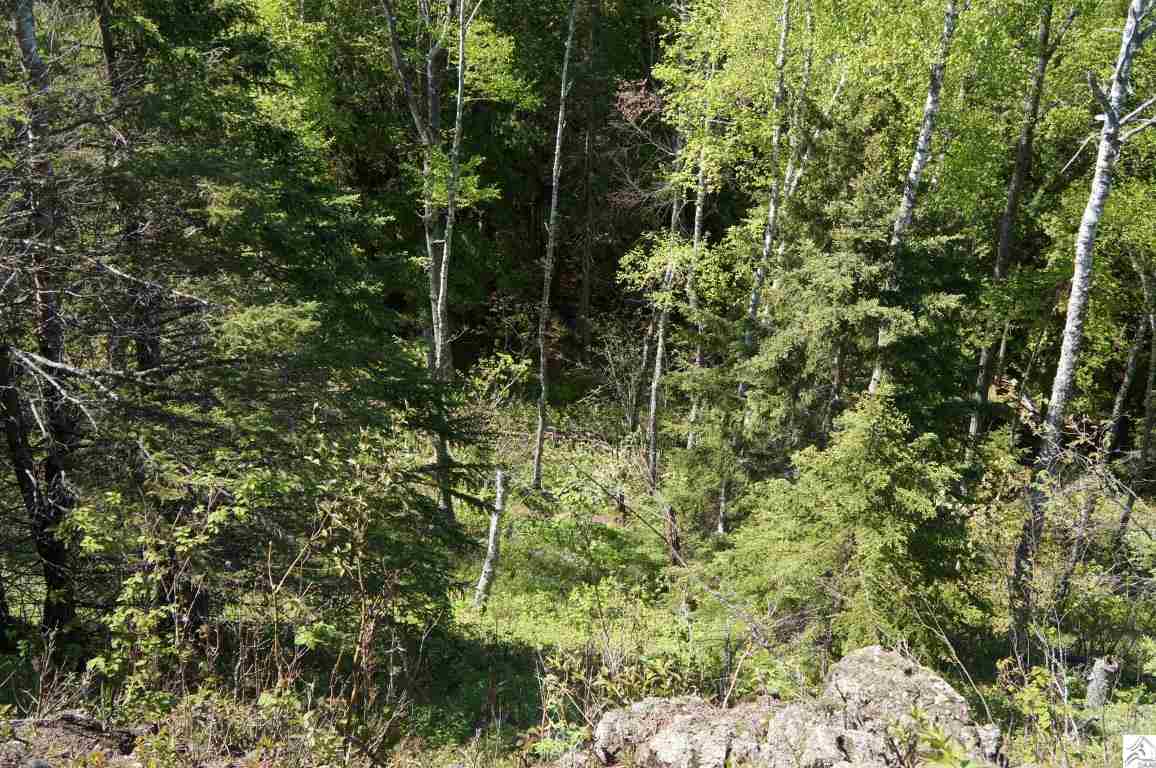 3375 Highway 61 Two Harbors, MN 55616 - Photo 9 of 17 Gallery Image 9