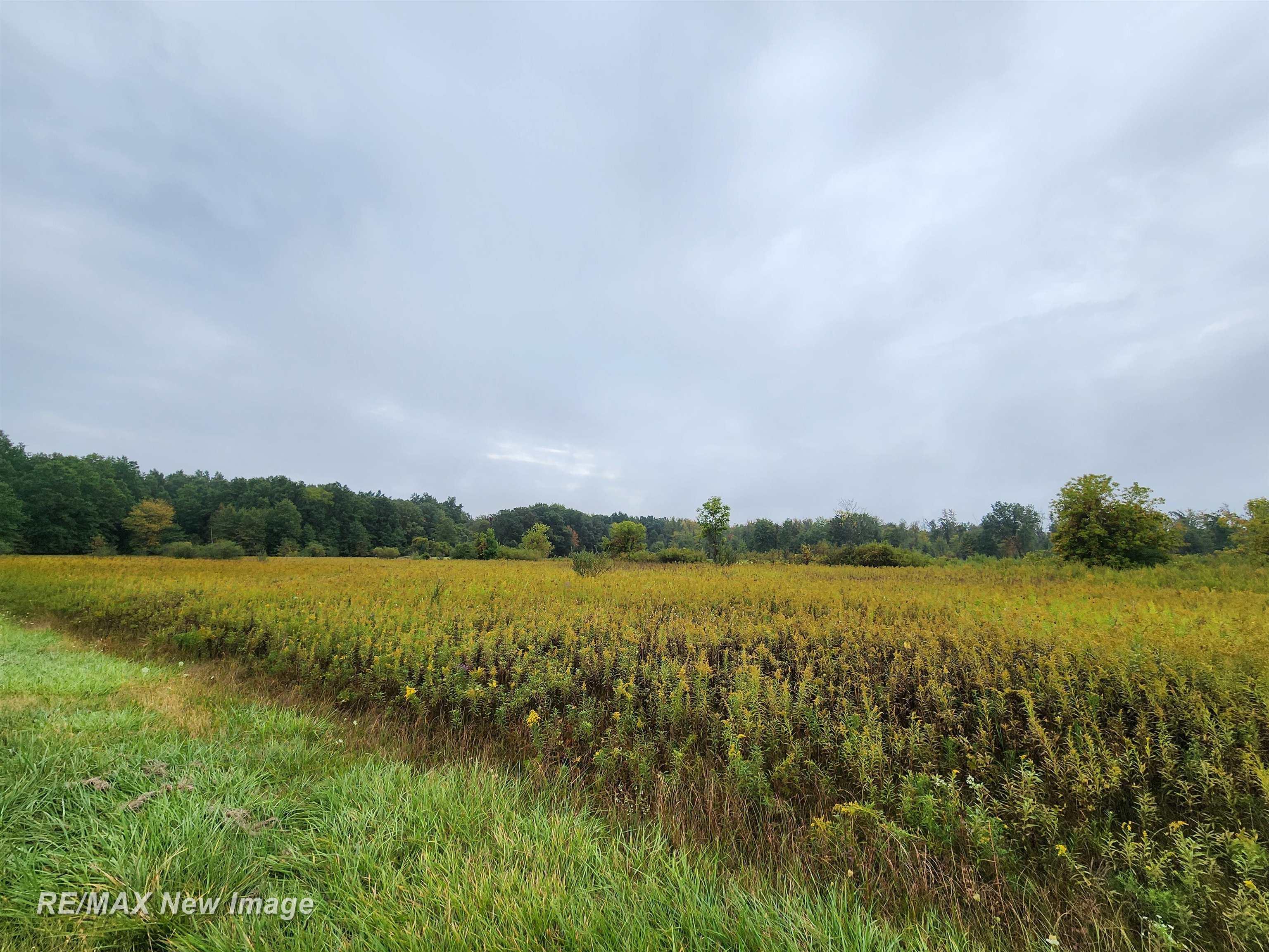 Ithaca Road St. Charles, MI 48655 - Photo 1 of 21