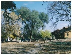 110 Grisby Road Skull Valley, AZ 86338 - Photo 4 of 5 Additional Photo