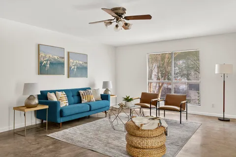 a living room with furniture and a potted plant
