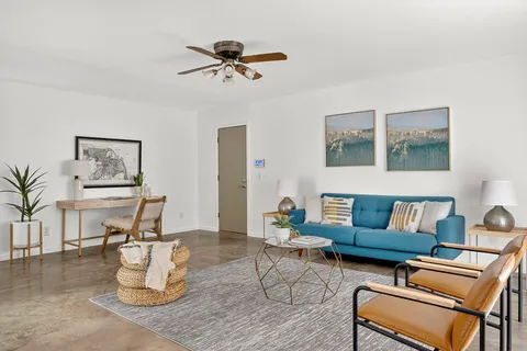 a living room with furniture and a potted plant on a table