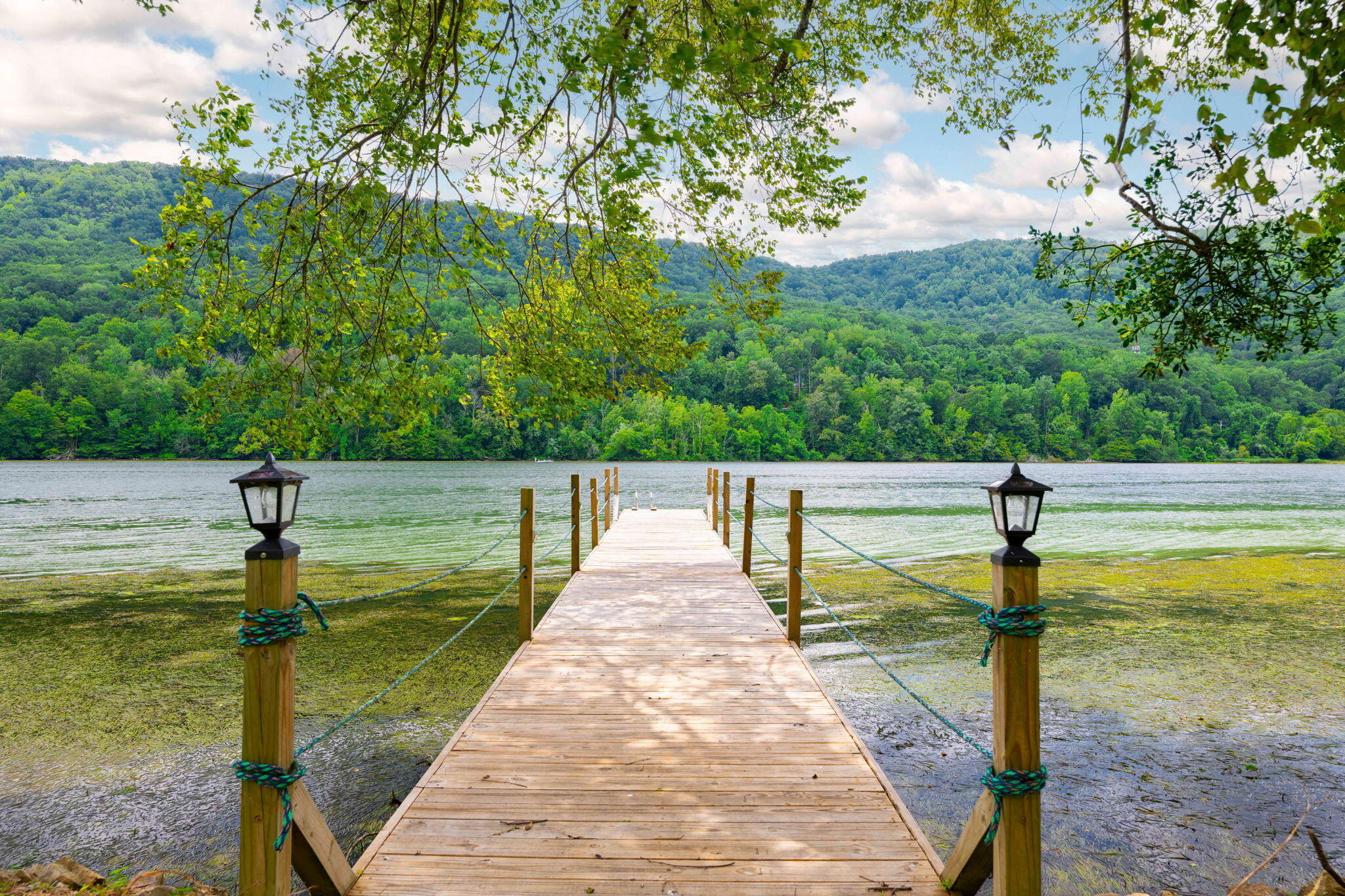 10350 Mullins Cove Road Whitwell, TN 37397 - Photo 42 of 93 46-web-or-mls-DSC_9392-19