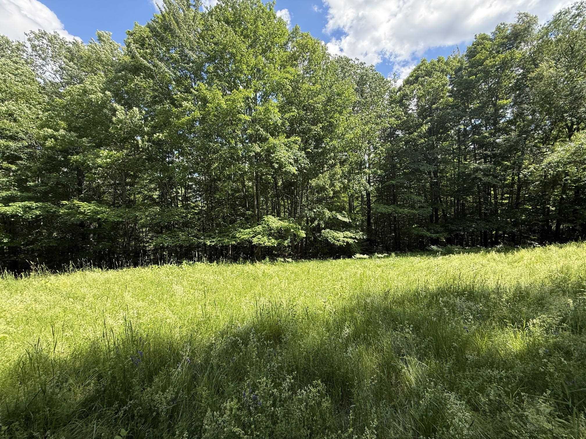 On Daniels Farm Road Waterford, VT 05819 - Photo 6 of 17