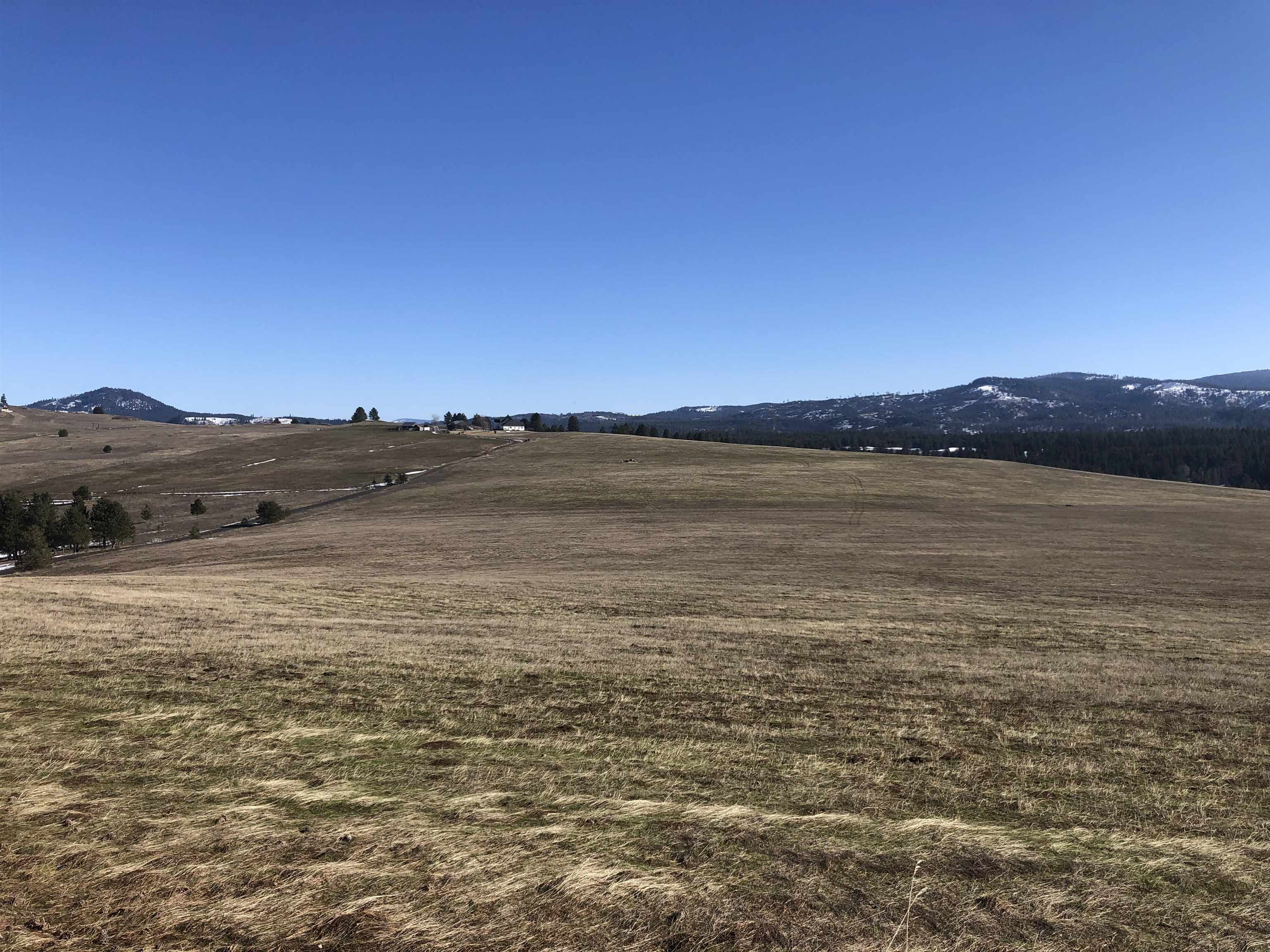 41900 North Darknell Road Elk, WA 99009 - Photo 28 of 33 Gallery Image 28