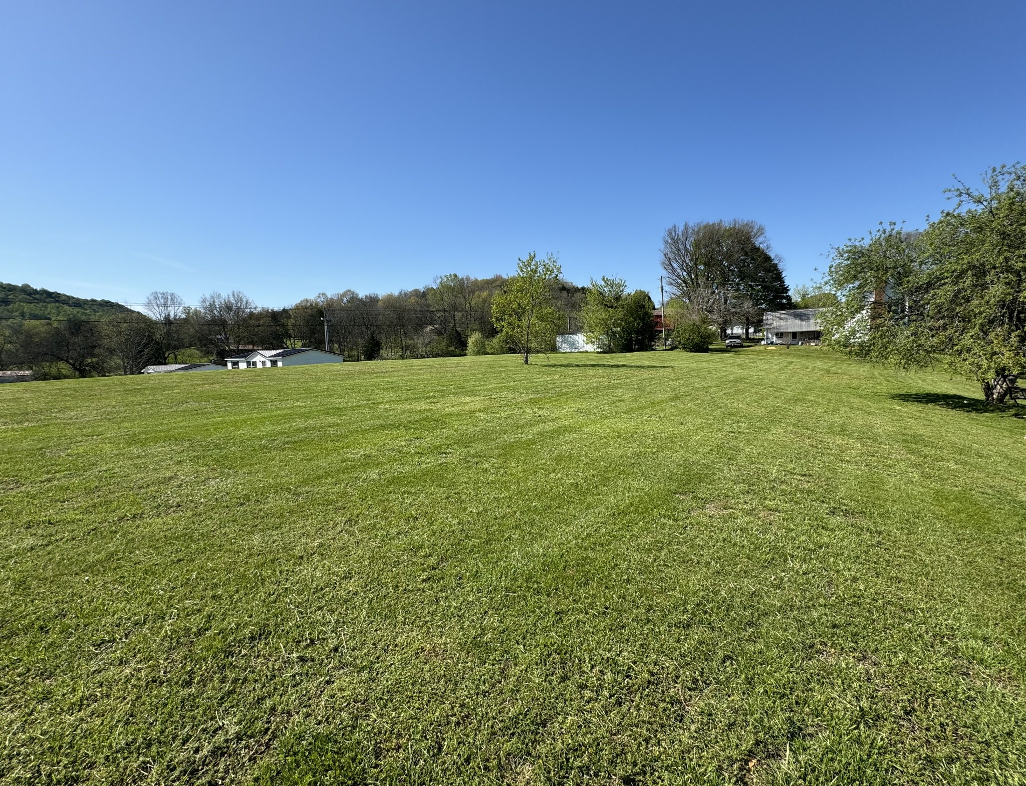 57 Difficult Road Pleasant Shade, TN 37145 - Photo 5 of 18 a view of field with tall trees