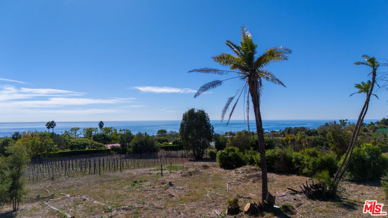 29652 Cuthbert Road Malibu, CA 90265 - Photo 11 of 18 a view of a lake with a palm tree