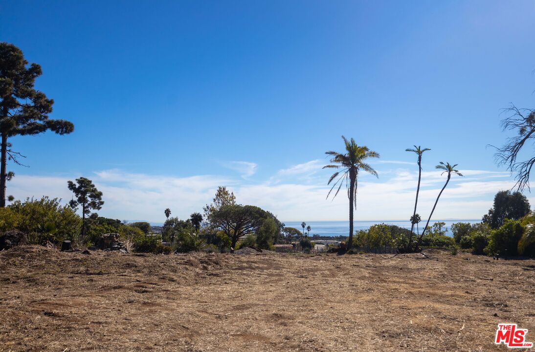 29652 Cuthbert Road Malibu, CA 90265 - Photo 15 of 18 a view of ocean with palm trees