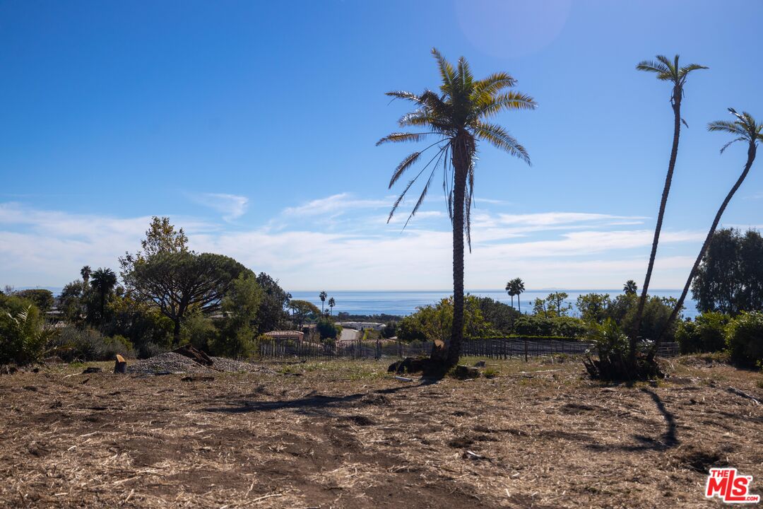 29652 Cuthbert Road Malibu, CA 90265 - Photo 18 of 18 a view of a palm tree with a yard