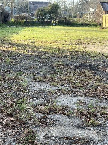 0 West Wilson Street Independence, LA 70443 - Photo 3 of 4