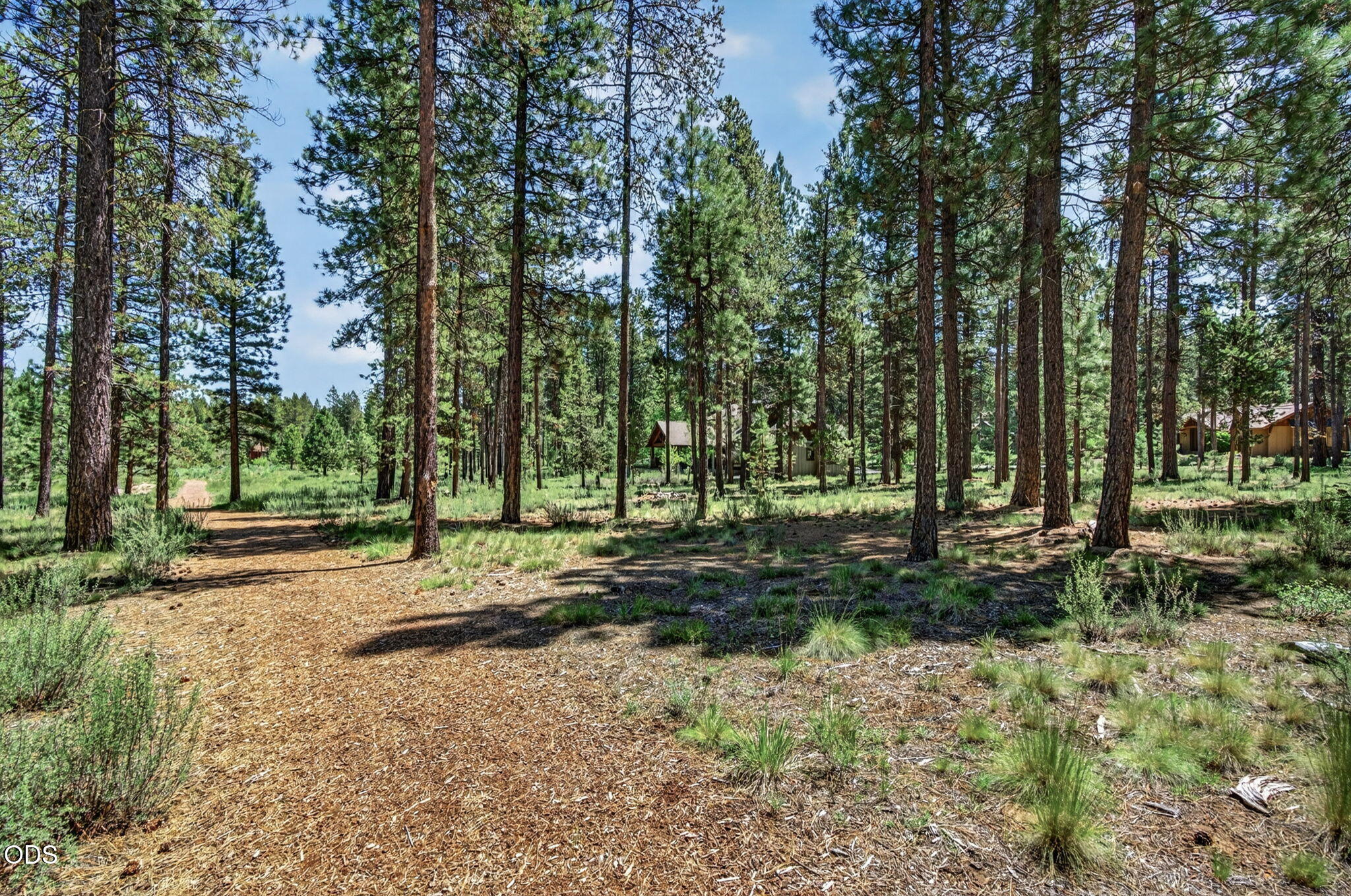 56288 Trailmere Circle Bend, OR 97707 - Photo 5 of 31