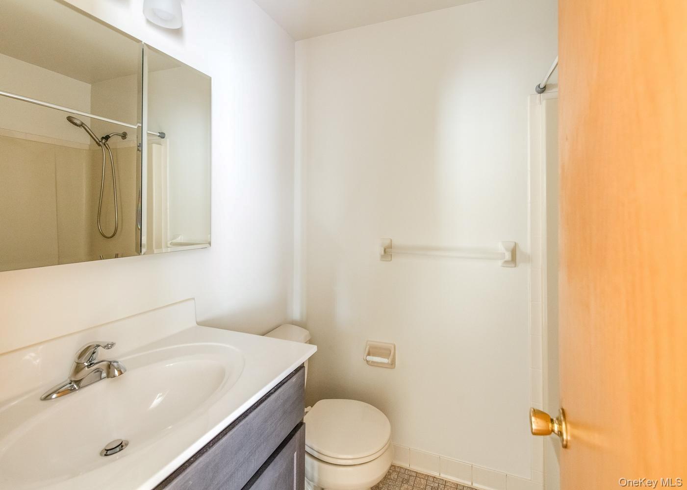 21 Topaz Run Poughkeepsie, NY 12603 - Photo 22 of 26 New vanity, medicine cabinet and light fixture