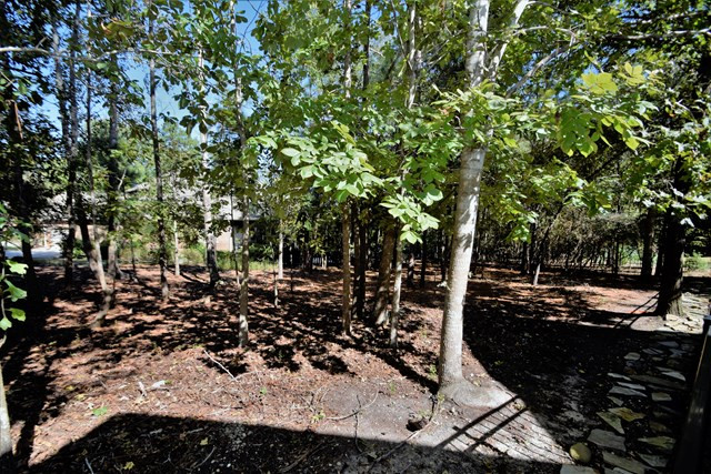 400 Forest Ridge Drive Aiken, SC 29803 - Photo 25 of 31 Gallery Image 25