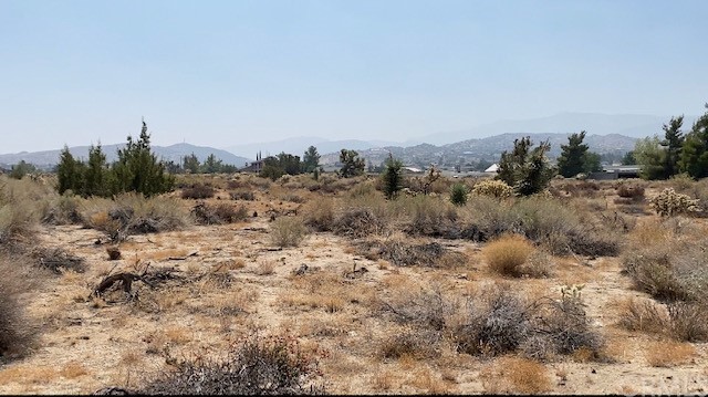 0 Chawacho Road Phelan, CA 92371 - Photo 1 of 1 a view of a covered with trees in the background