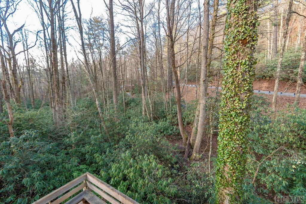 49 Pinecrest Road Highlands, NC 28741 - Photo 28 of 31 Gallery Image 28