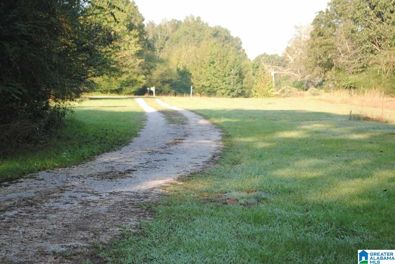 986 County Road 156 Jemison, AL 35085 - Photo 3 of 19