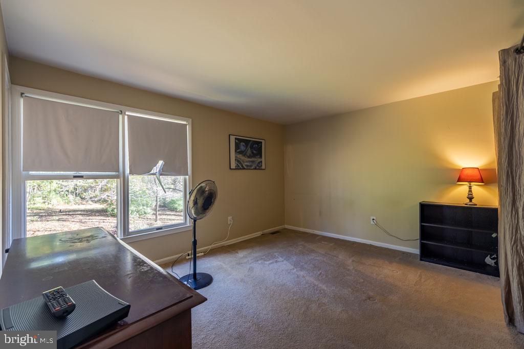 10272 Rodos Road Rixeyville, VA 22737 - Photo 13 of 22 Primary bedroom