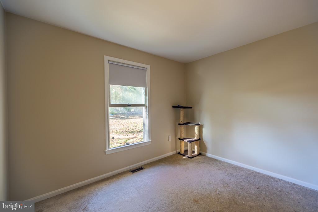10272 Rodos Road Rixeyville, VA 22737 - Photo 16 of 22 main level bedroom