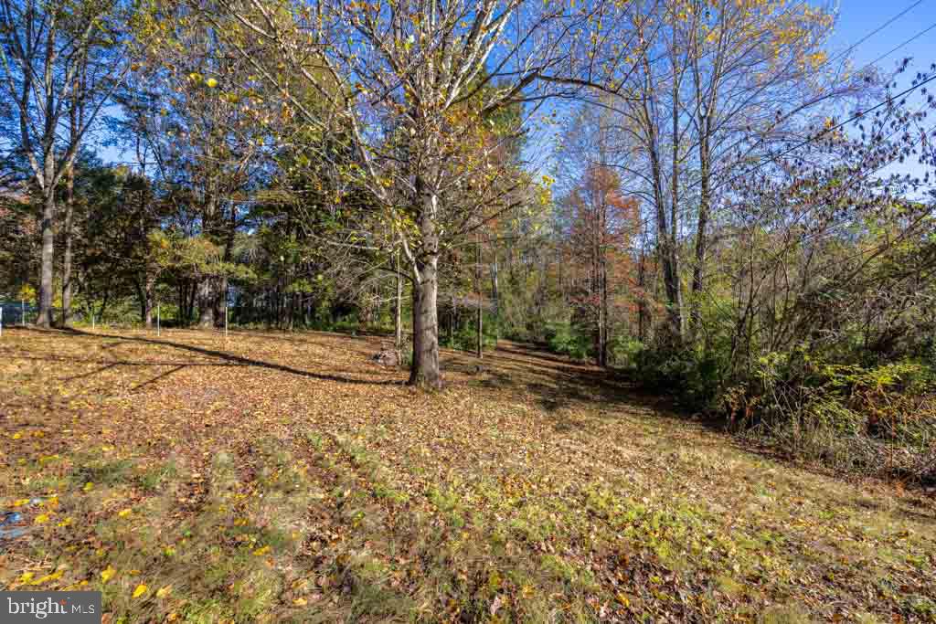 10272 Rodos Road Rixeyville, VA 22737 - Photo 22 of 22