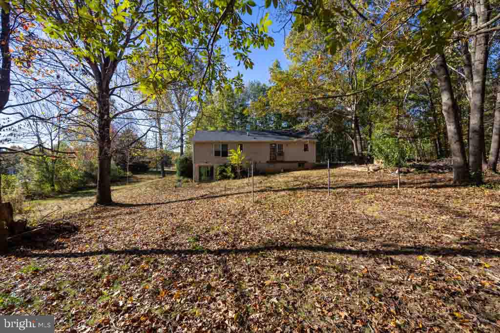 10272 Rodos Road Rixeyville, VA 22737 - Photo 4 of 22