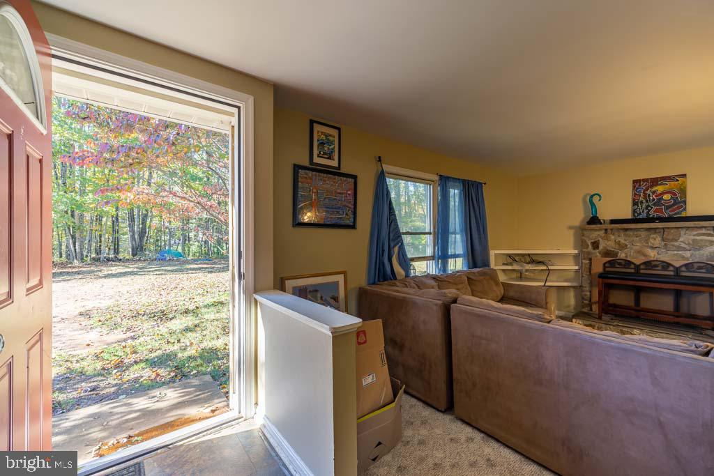10272 Rodos Road Rixeyville, VA 22737 - Photo 8 of 22