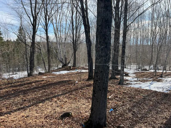 $65,000 | 200 Clark Road, Patten, ME 04765