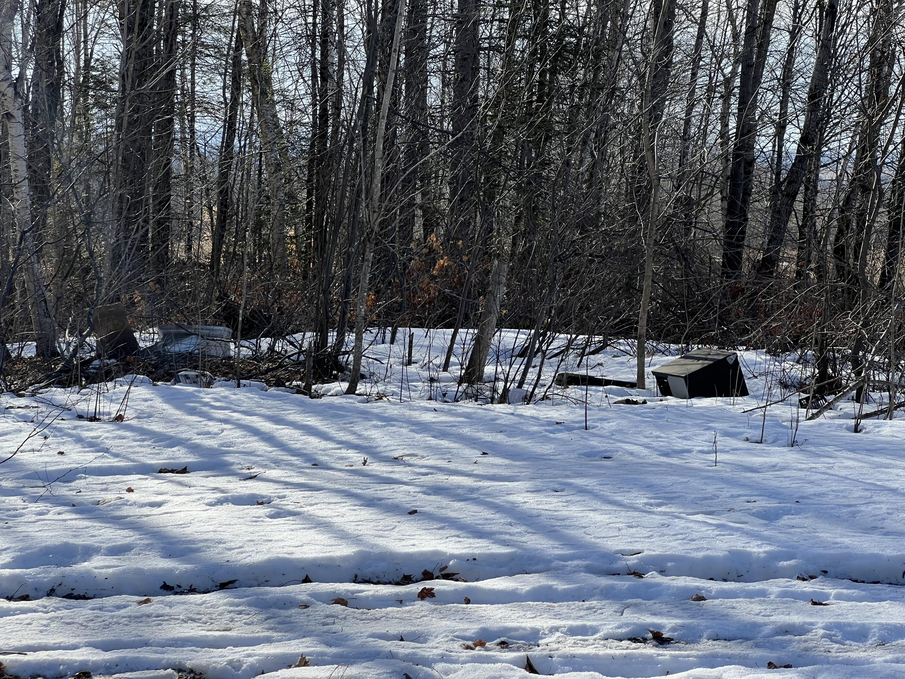 200 Clark Road Patten, ME 04765 - Photo 13 of 47 woods
