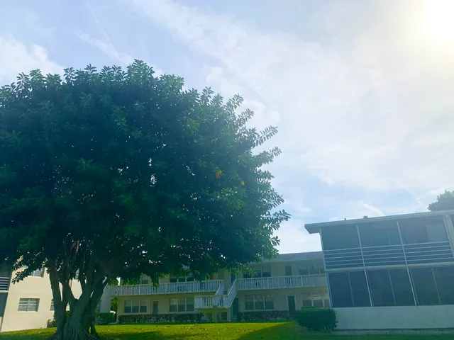 a view of a big yard