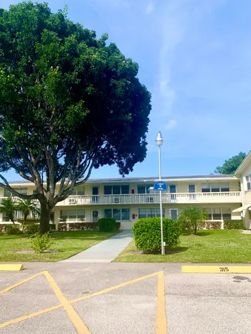 a view of a garden with plants and large trees