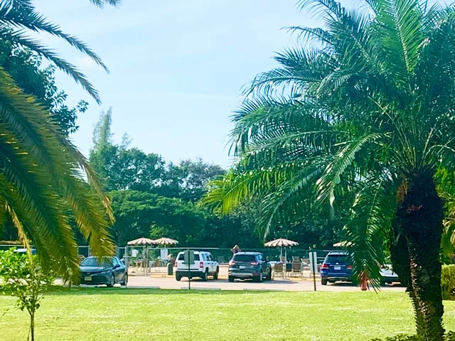 a view of a swimming pool with lawn chairs and a big yard