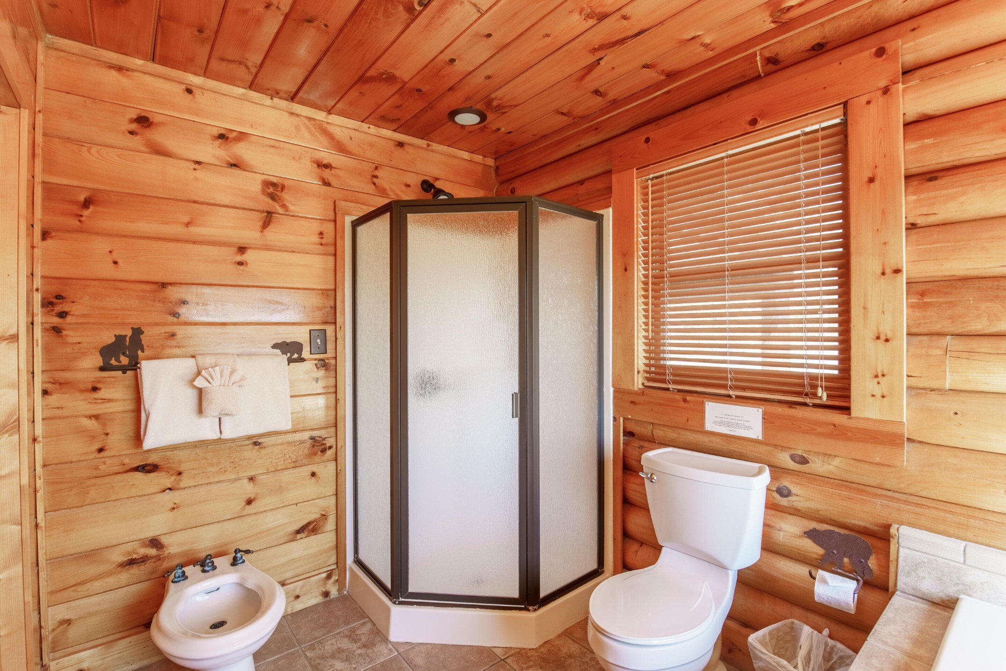 3005 Redtail Road Sevierville, TN 37862 - Photo 11 of 37 a bathroom with a toilet and a shower