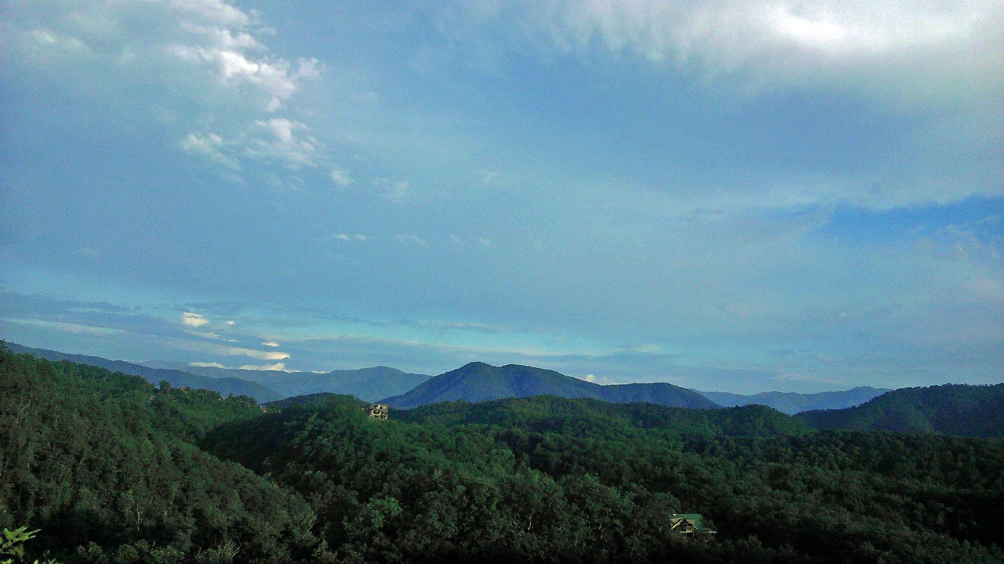 3005 Redtail Road Sevierville, TN 37862 - Photo 34 of 37