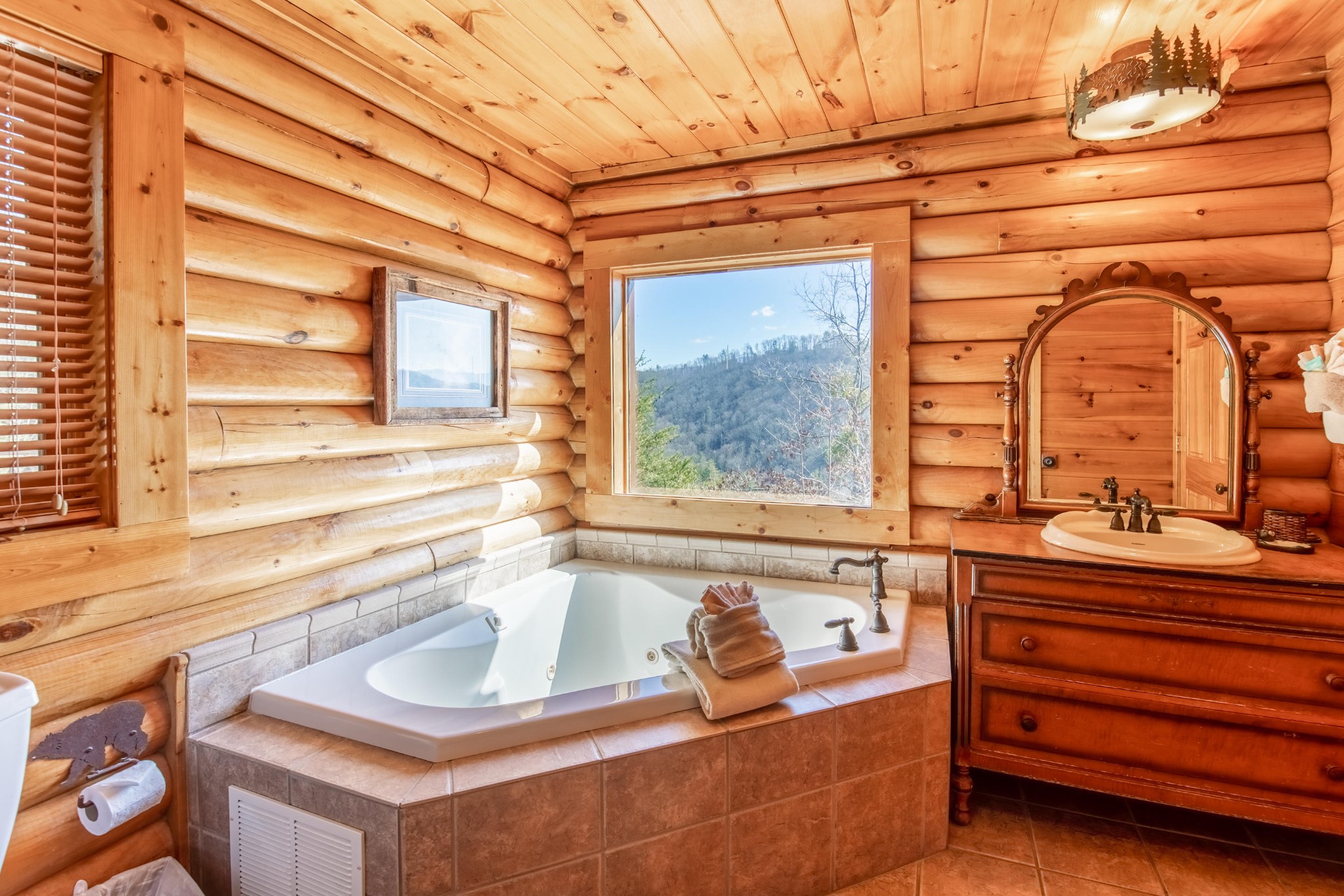3005 Redtail Road Sevierville, TN 37862 - Photo 10 of 37 a bathroom with a sink and a mirror