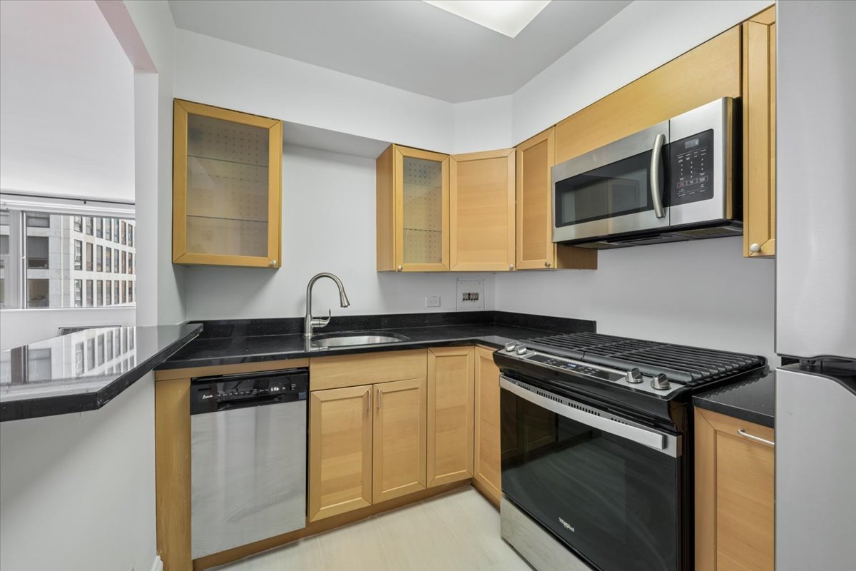 253 East Delaware Place, Unit 11F Chicago, IL 60611 - Photo 4 of 19 a kitchen with stainless steel appliances granite countertop a stove and a microwave