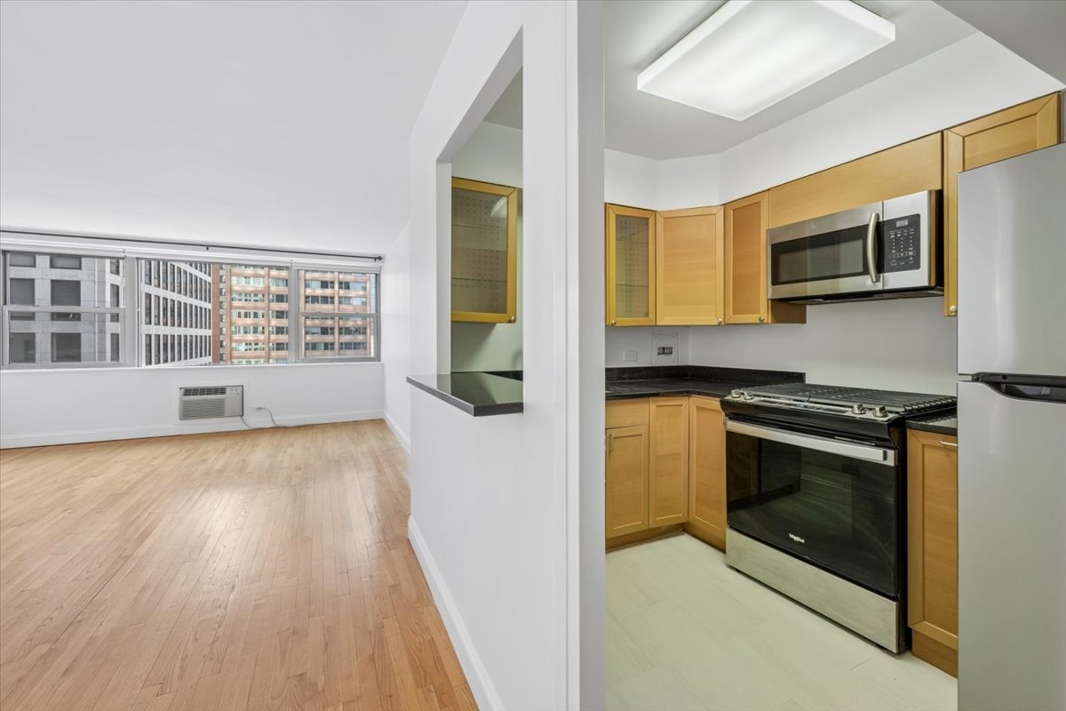 253 East Delaware Place, Unit 11F Chicago, IL 60611 - Photo 5 of 19 a kitchen with stainless steel appliances a stove a microwave and sink