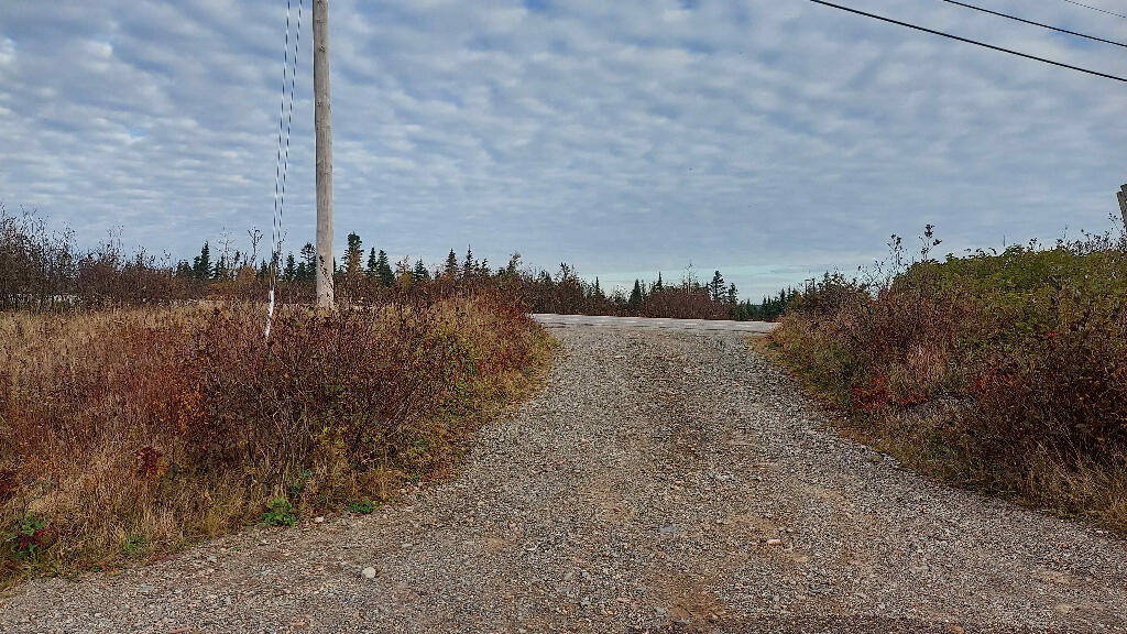 2120 Cutler Road Cutler, ME 04626 - Photo 15 of 25 14