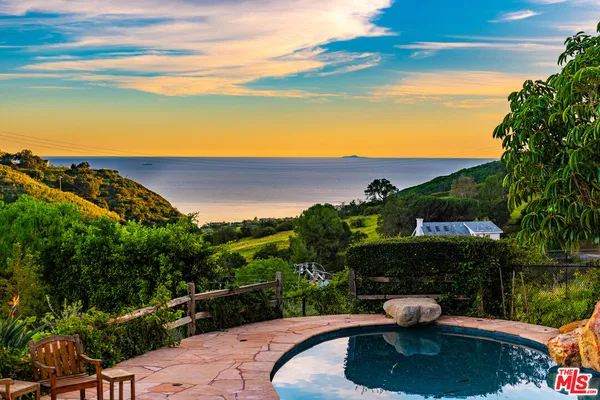 a view of a swimming pool with an outdoor seating and a garden