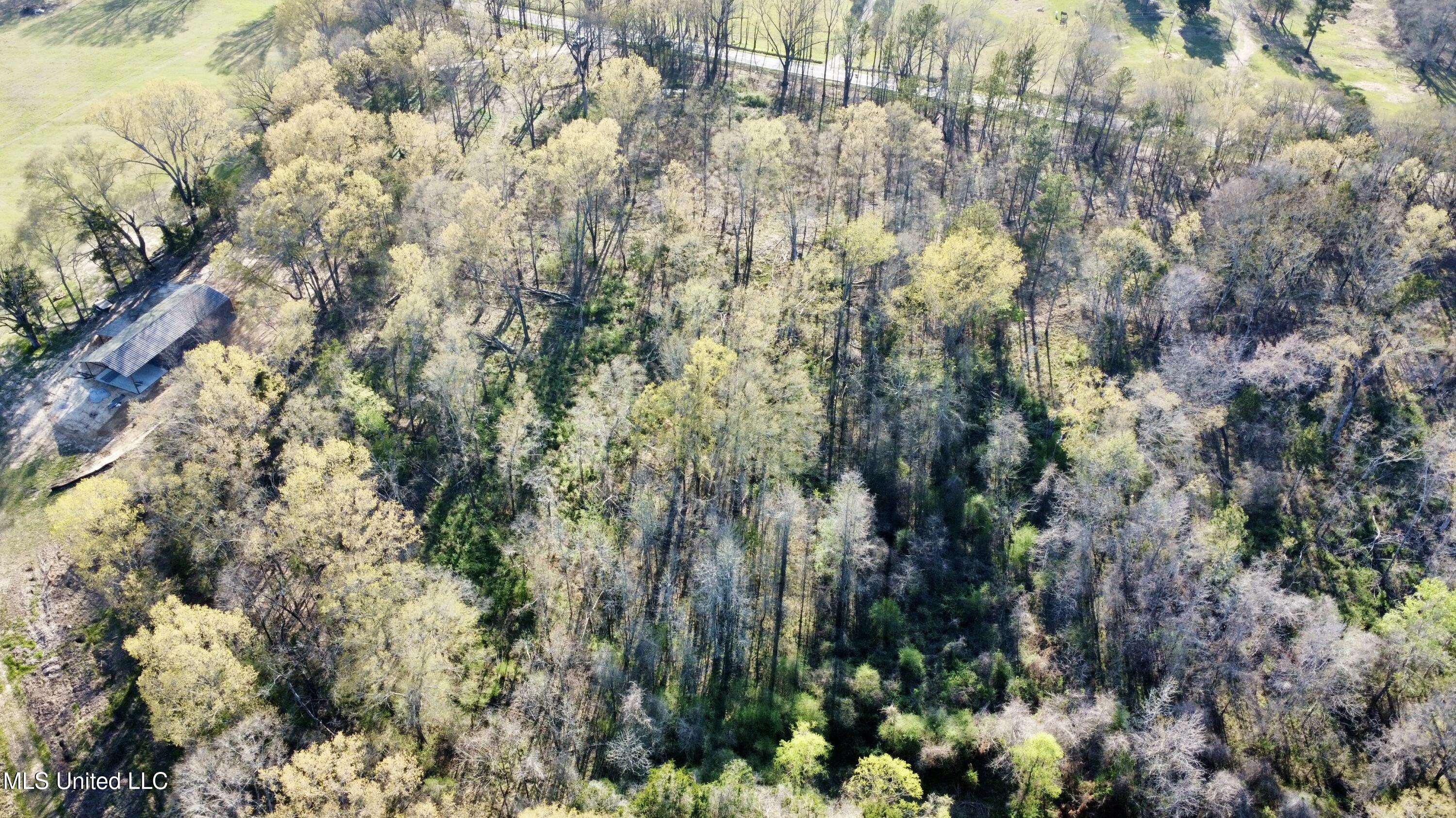 5370 Clinton-Tinnin Road Jackson, MS 39209 - Photo 4 of 8 dji_fly_20250321_172056_227_174287059021